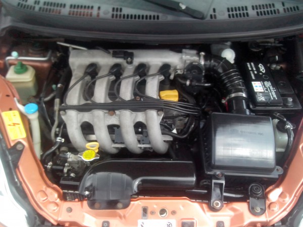 IMG_20130412_133808.jpg