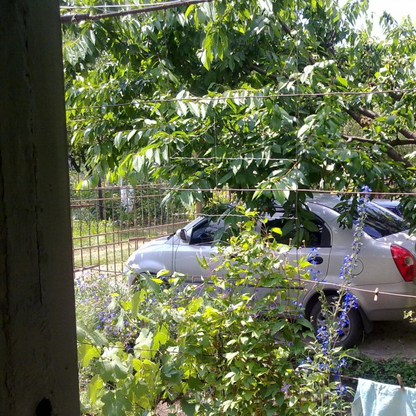 24062013243.jpg