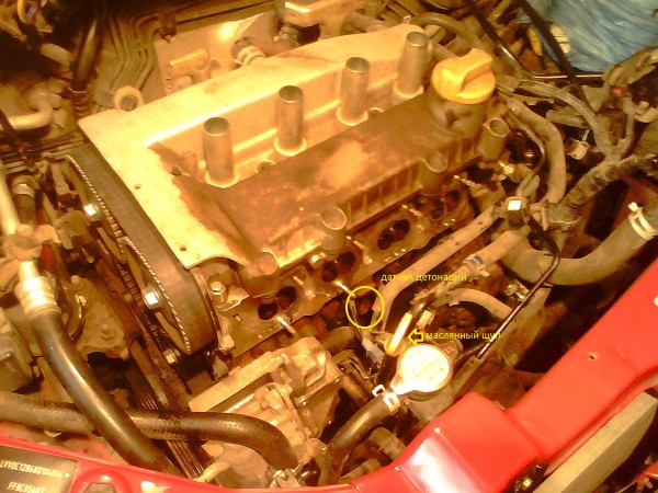 IMG0499A.jpg
