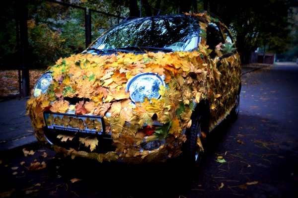 07.10.2012 600.jpg