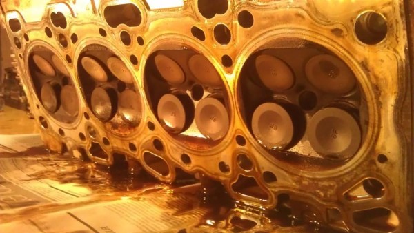 IMAG0536.jpg