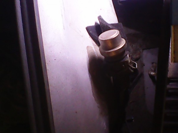 IMG0049B.jpg