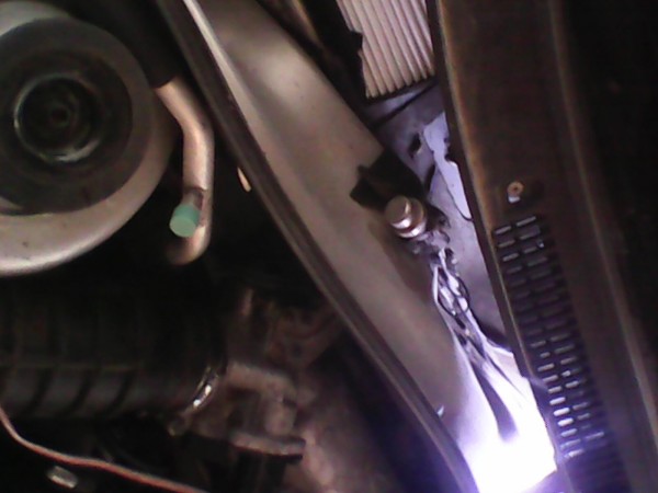 IMG0050C.jpg