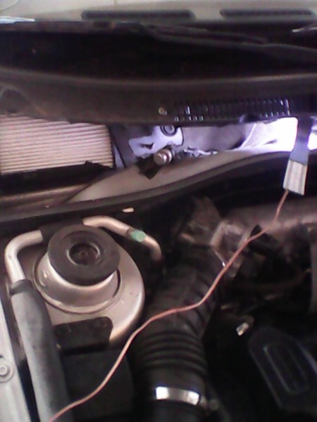 IMG0053C.jpg