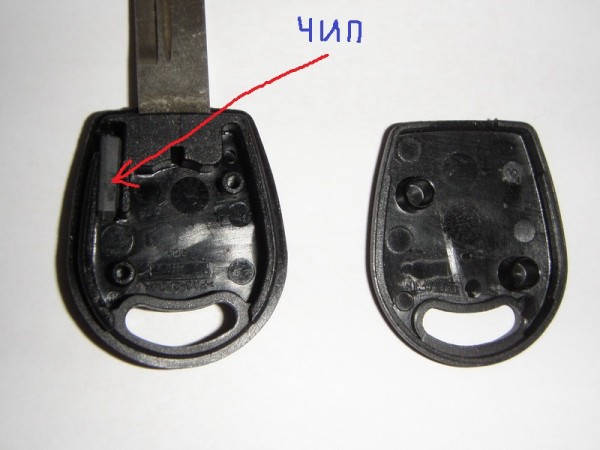 P3282547_новый размер.jpg