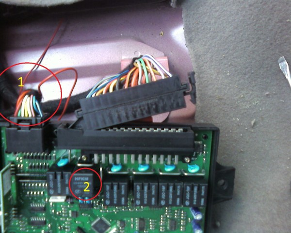 bcm.jpg
