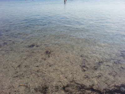 20140705_180040.jpg