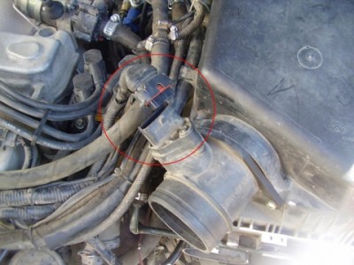 343f75u-480.jpg