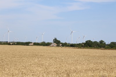 IMG_2706.JPG