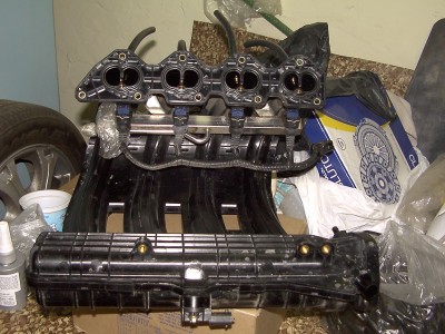 pdrm0864.JPG