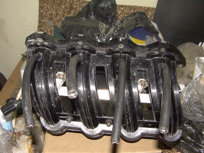PDRM0866.JPG