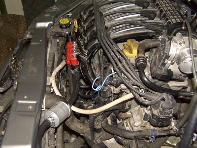 PDRM0939.JPG
