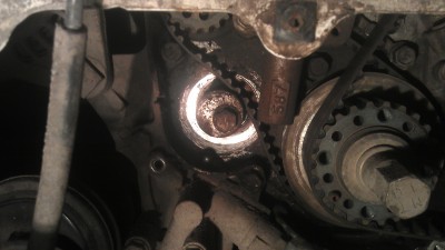 IMAG0252.jpg