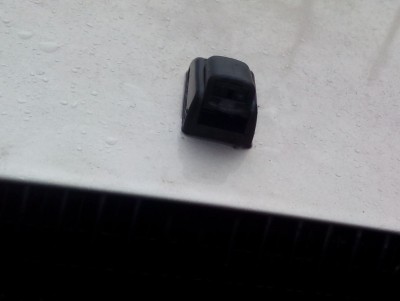 IMG_20150219_120651.jpg