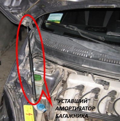 5a44cc8s-480.jpg