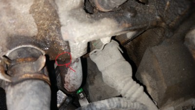 20160330_185243.jpg