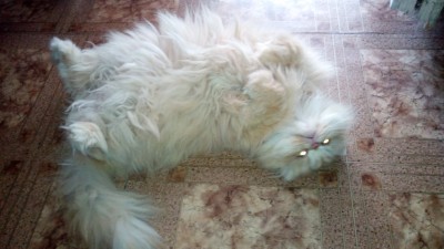 IMG_20160414_085107.jpg