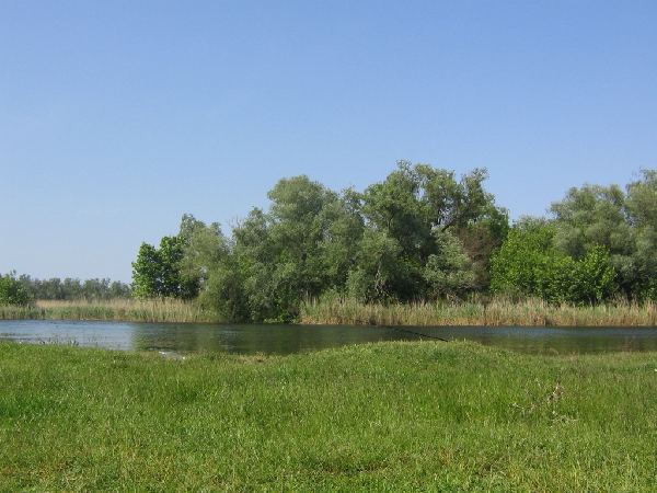04.jpg