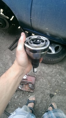 IMAG0067.jpg
