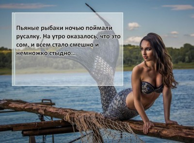 11503875.jpg