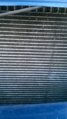 IMAG0106.jpg
