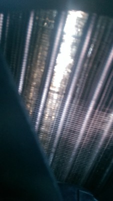 IMAG0107.jpg