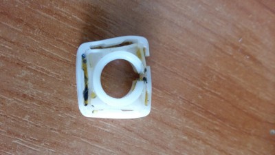 20190415_134554.jpg