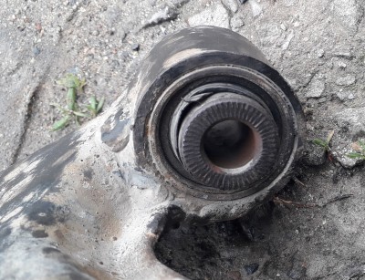 20190429_134221.jpg