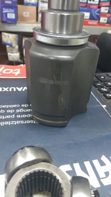 IMG_20200128_170407.jpg