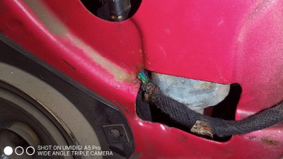 IMG_20201002_103001_7.jpg