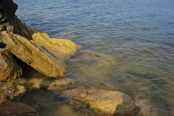 DSC_0722.jpg