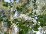 10_05_2008_204.jpg