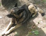 10_05_2008_295.jpg