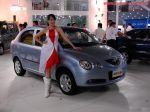 chery_jaggi_07.jpg