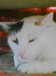 050707_140830.jpg