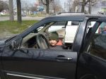 Файл=P1080353.JPG
Объём=124KB
Размеры=800x600
Дата=Апр 13, 2013 P1080353.JPG